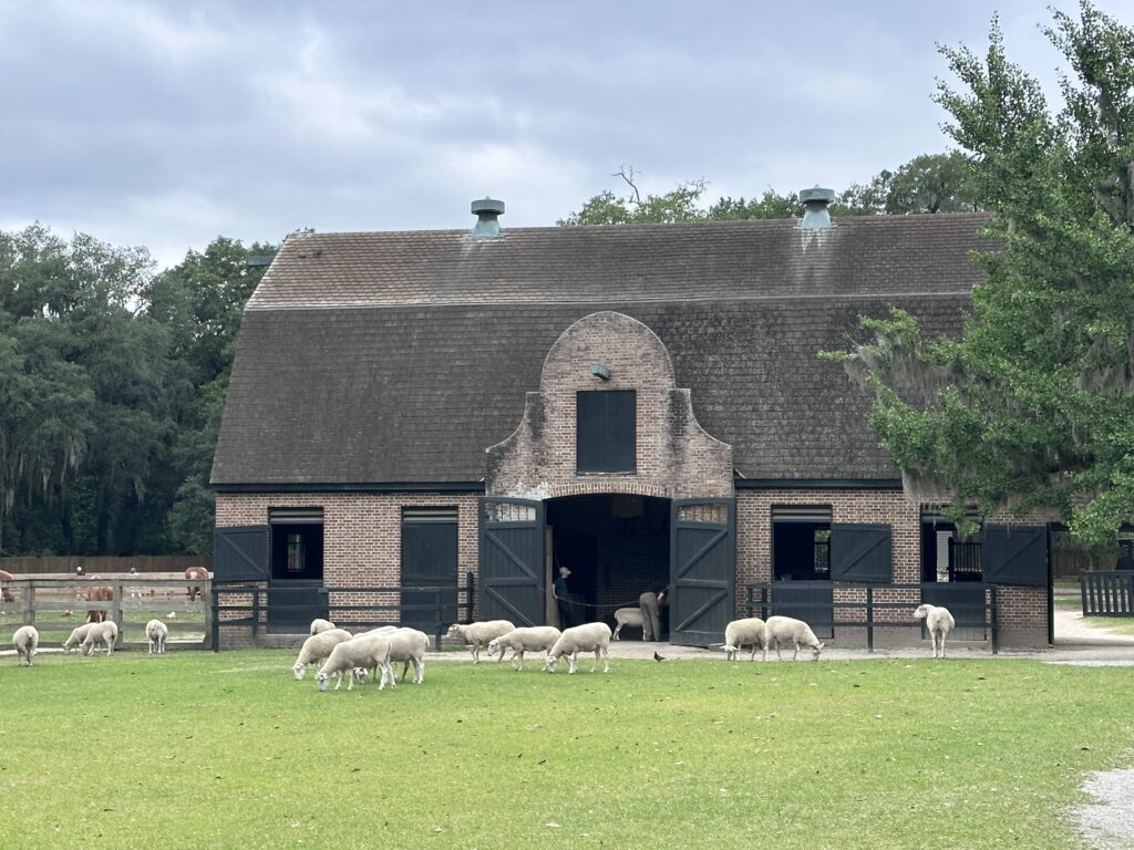 CHARLESTON SC VACATION - DAY 3 MIDDLETON PLACE STABLES