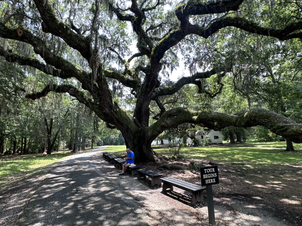CHARLESTON SC VACATION - DAY 6 MAGNOLIA PLANTATION OAK TREE AND SLAVERY TO FREEDOM TOUR